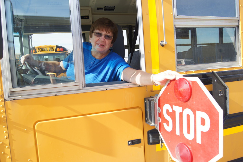 transportation services palliser regional schools professional bus driver