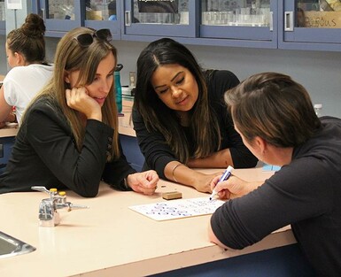 Numeracy skills, as well as literacy and wellness were among the topics of focus at Palliser’s PD Summit in Vulcan.